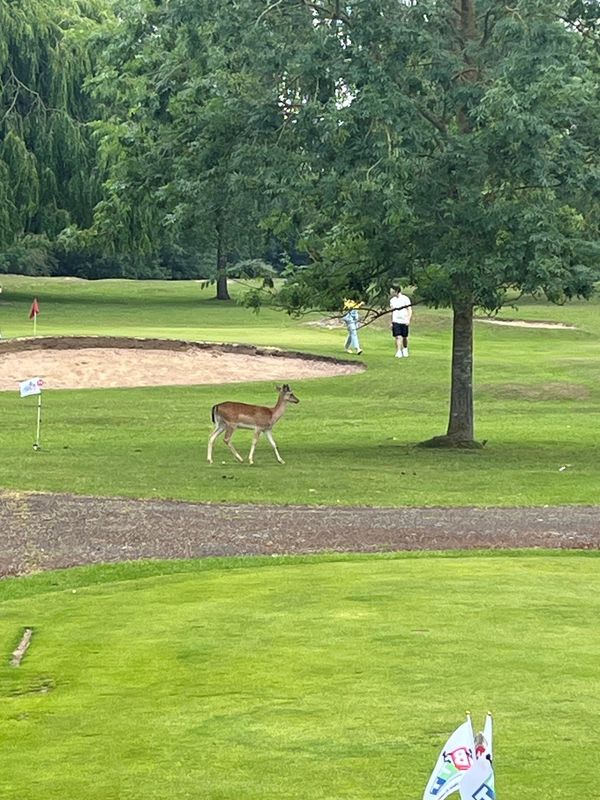 1st Annual Charity Golf Day photo